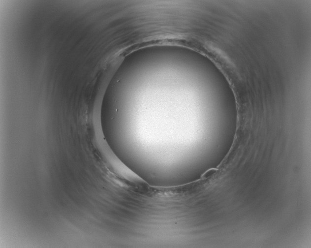 X0000071911169200607212035