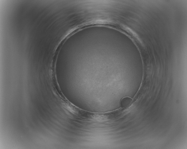 X0000071911170200607212035