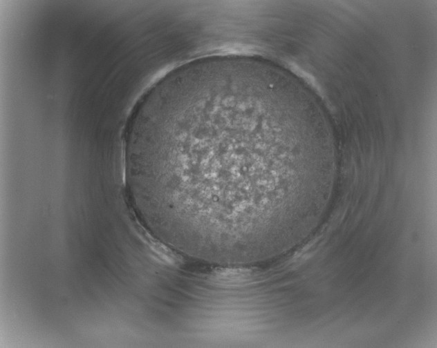 X0000071911171200607212035