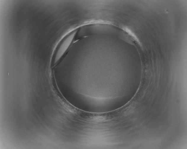 X0000071911173200607212034