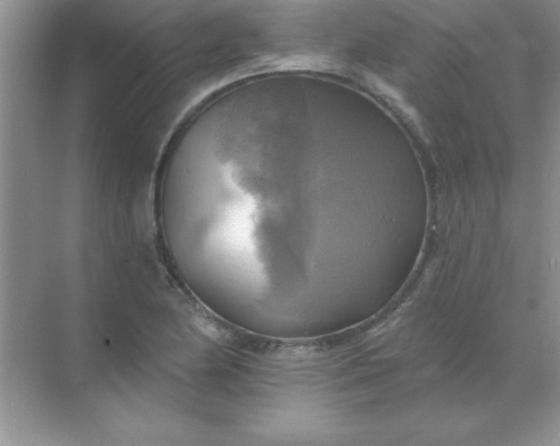 X0000071911174200607212034