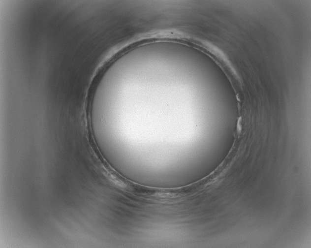 X0000071911176200607212034