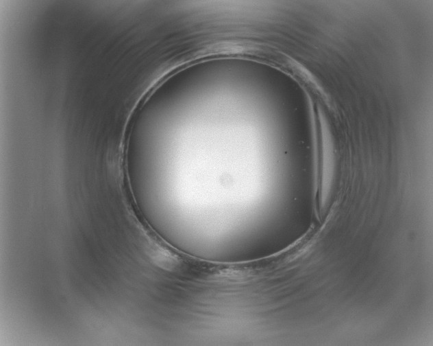 X0000071911178200607212034