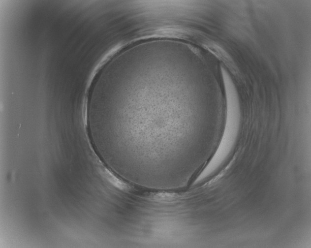 X0000071911180200607212034