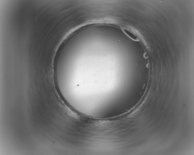 X0000071911184200607212034