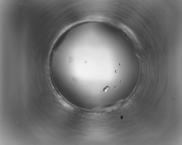 X0000071911192200607212034