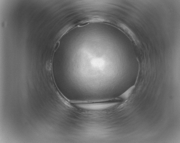 X0000071911193200607212034