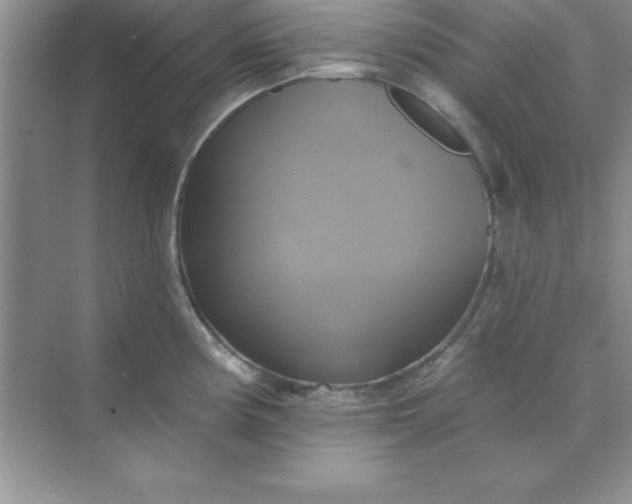 X0000071911194200607212034