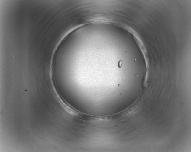 X0000071911195200607212034