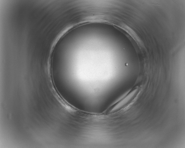 X0000071911196200607212034