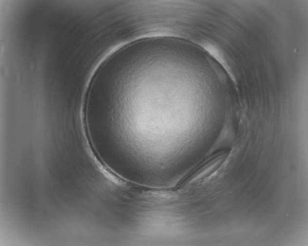 X0000071911197200607212034