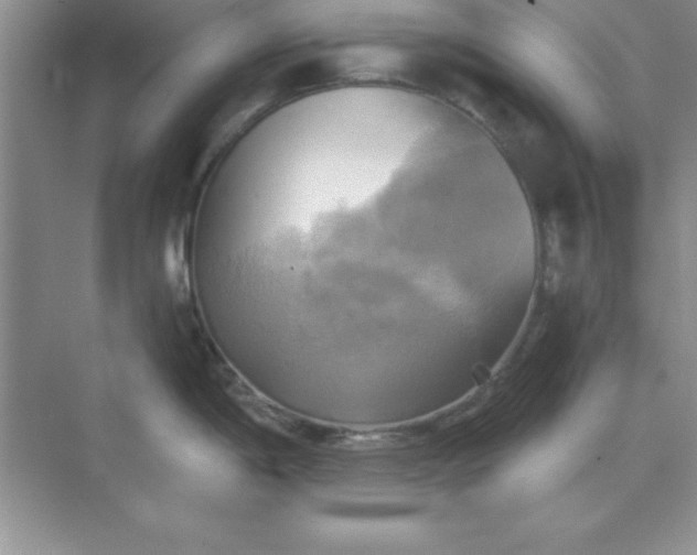 X0000071911198200607212034