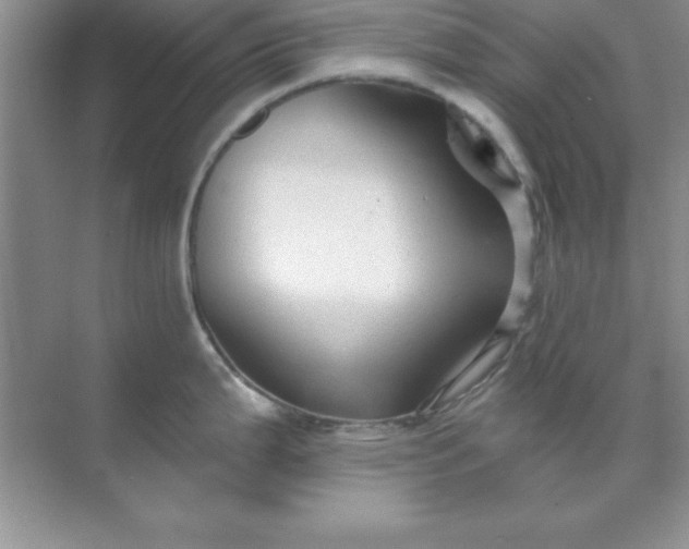 X0000071911199200607212034