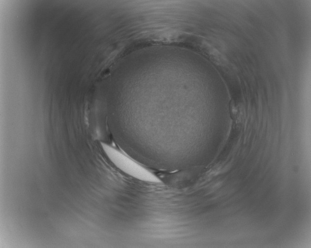 X0000071911202200607212033