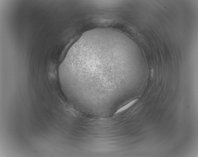 X0000071911204200607212033