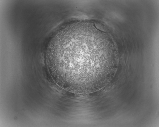 X0000071911205200607212033