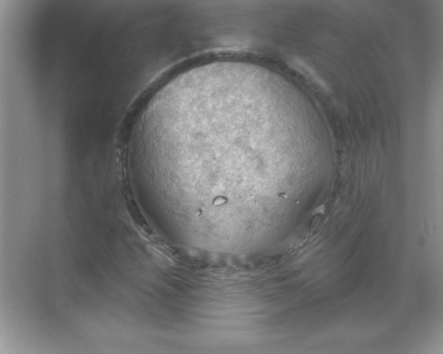 X0000071911208200607212033