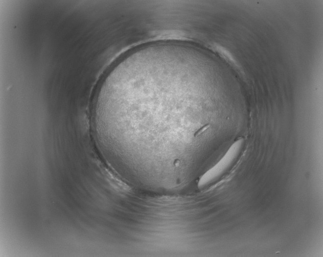 X0000071911212200607212033