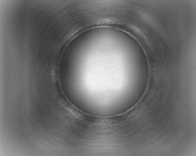 X0000071911217200607212034