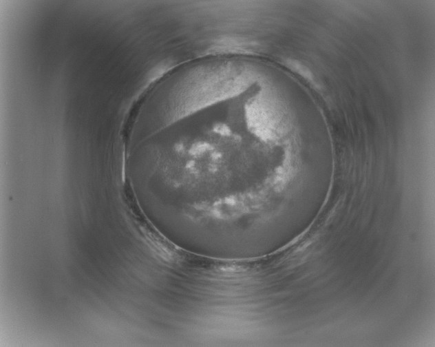 X0000071911219200607212034