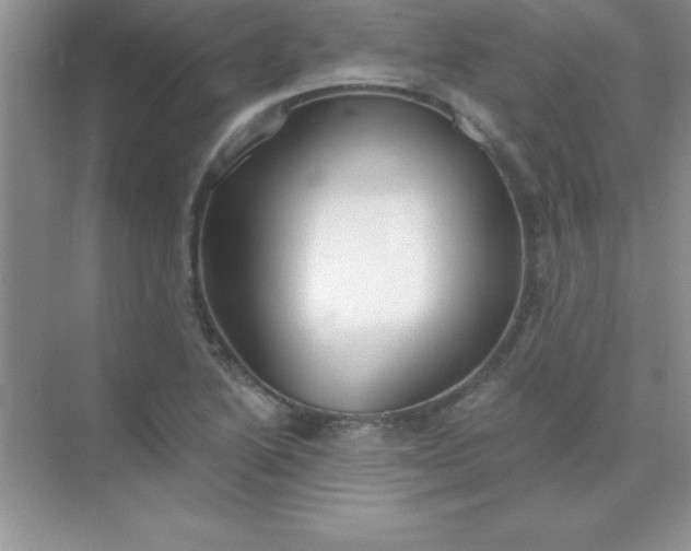 X0000071911222200607212034