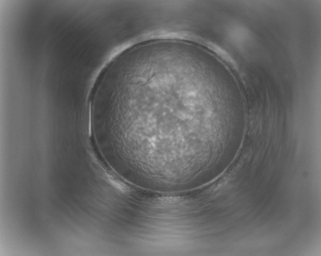 X0000071911223200607212034