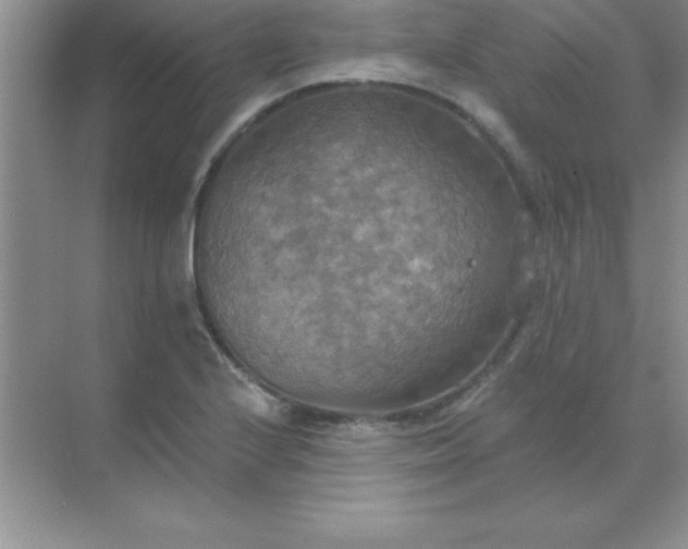 X0000071911224200607212034