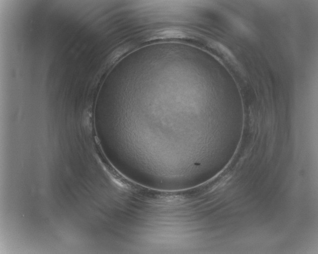 X0000071911225200607212034