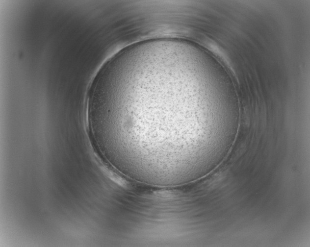 X0000071911227200607212034