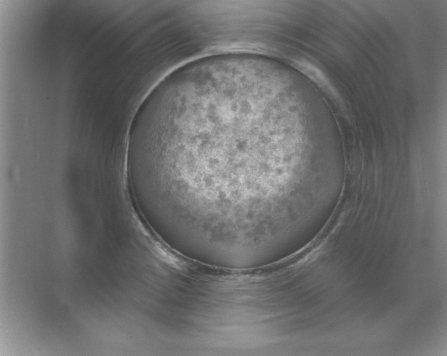 X0000071911228200607212034