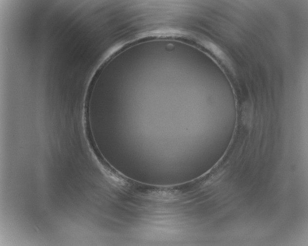 X0000071911229200607212034