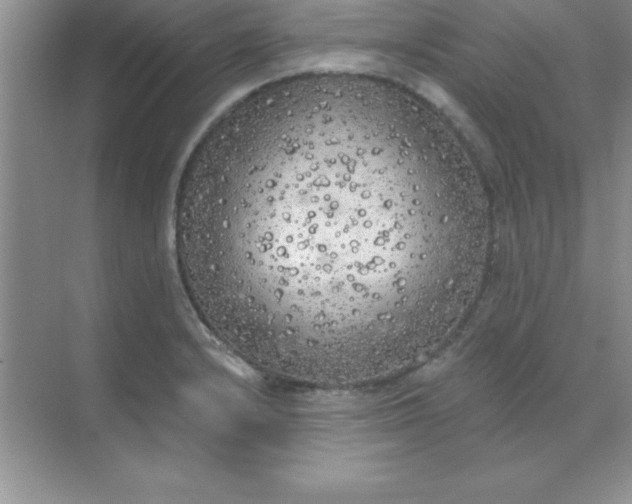 X0000071911232200607212034