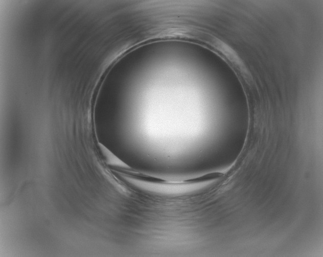 X0000071911234200607212034