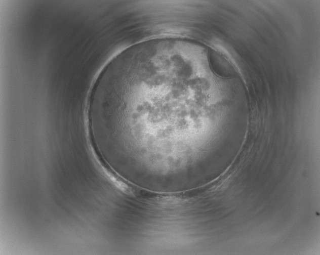 X0000071911235200607212034