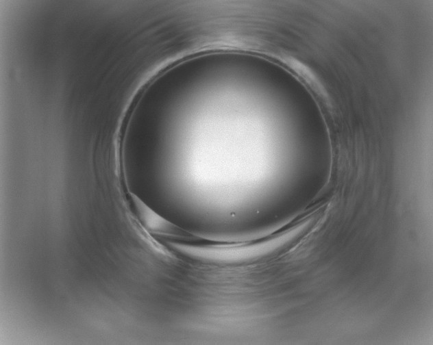 X0000071911238200607212034