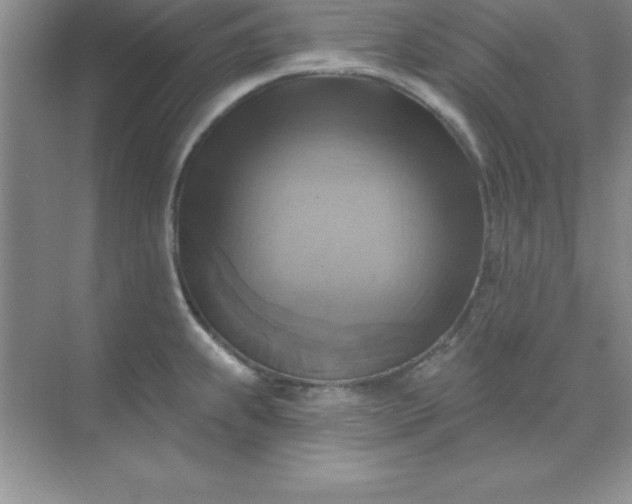 X0000071911239200607212034