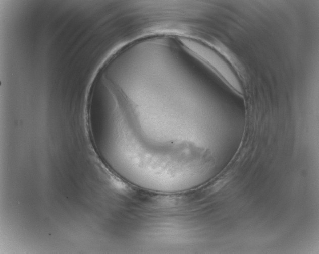 X0000071911240200607212034