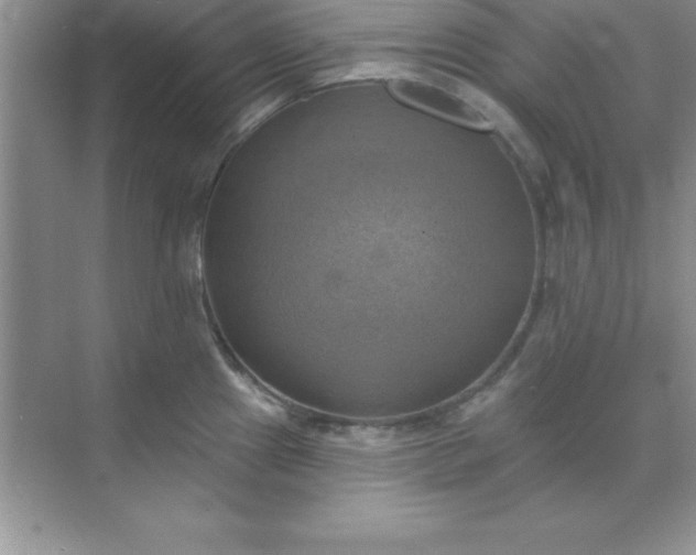 X0000071911241200607212034