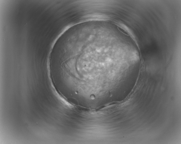 X0000071911243200607212034