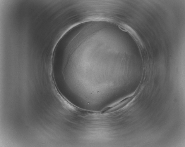 X0000071911244200607212034