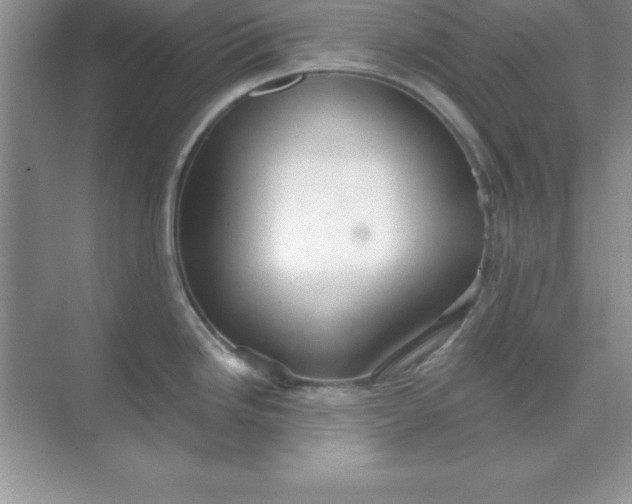 X0000071911246200607212034