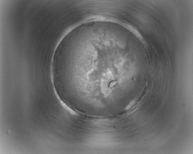 X0000071911247200607212034