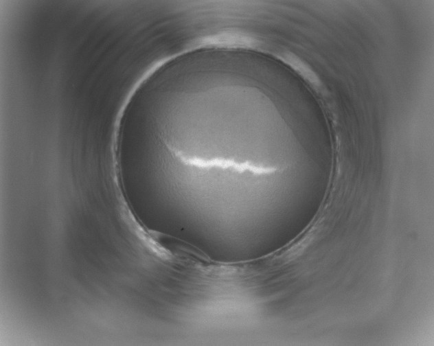 X0000071911248200607212034