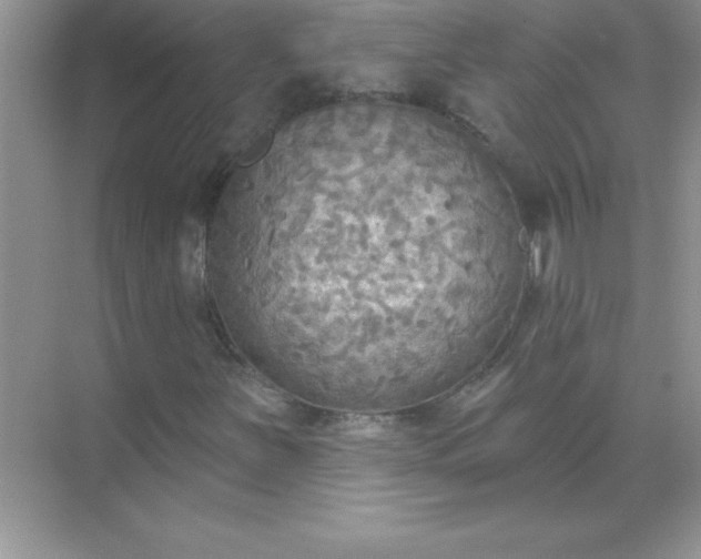 X0000071911251200607212033