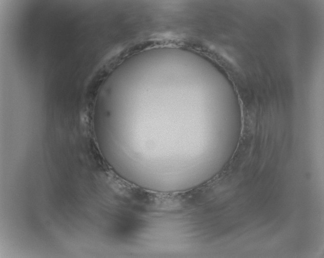 X0000071911254200607212033