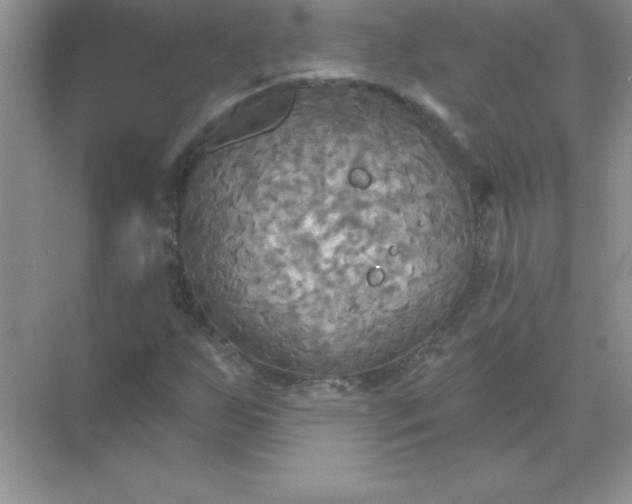 X0000071911255200607212033