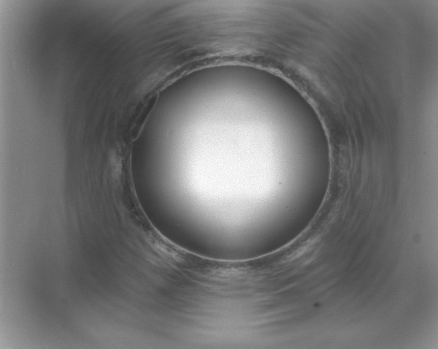 X0000071911257200607212033