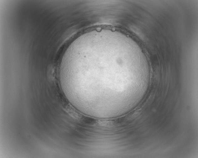 X0000071911258200607212033