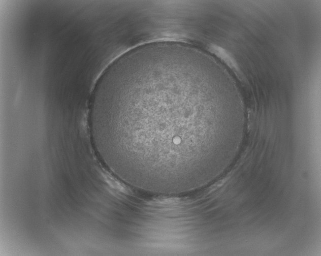 X0000071911260200607212033