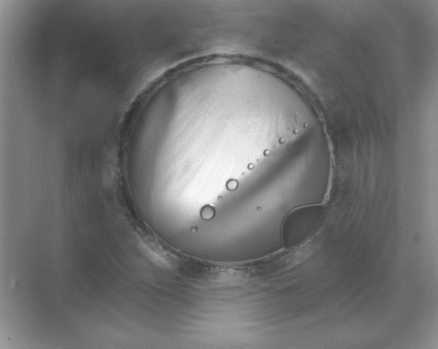 X0000071911263200607212033